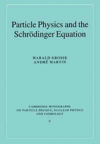 bokomslag Particle Physics and the Schrdinger Equation