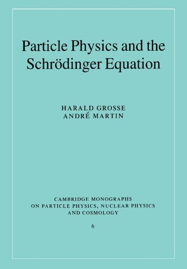 Harald Grosse, Andri Martin - Particle Physics and the Schrödinger Equation, Häftad