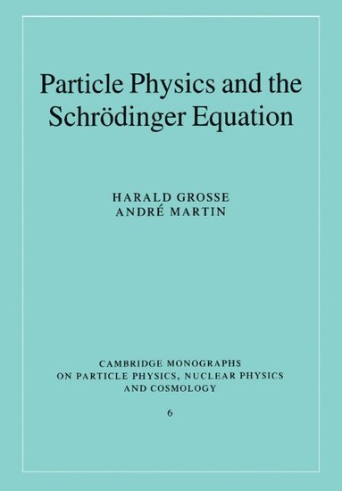 bokomslag Particle Physics and the Schrodinger Equation