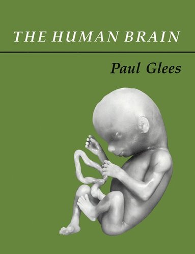 bokomslag The Human Brain