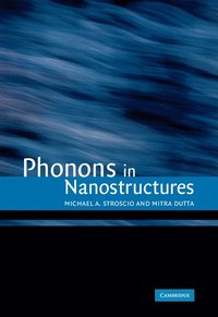 bokomslag Phonons in Nanostructures