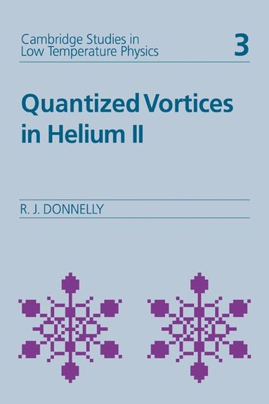 bokomslag Quantized Vortices in Helium II