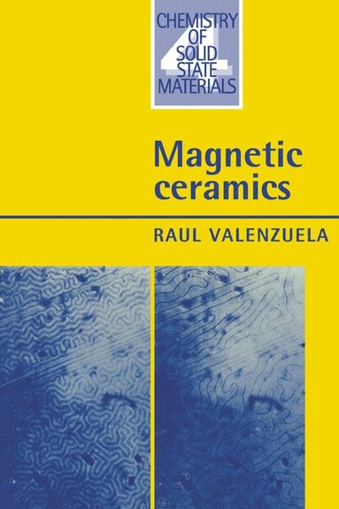 bokomslag Magnetic Ceramics