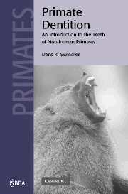 Daris R. Swindler, C. G. Nicholas Mascie-Taylor - Primate Dentition, Häftad