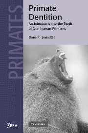 Daris R. Swindler, Daris R. (University of Washington) Swindler, Swindler Daris R., C. G. Nicholas Mascie-Taylor - Primate Dentition, Häftad