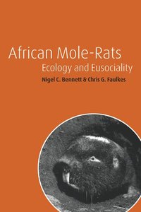 bokomslag African Mole-Rats