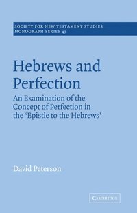 bokomslag Hebrews and Perfection