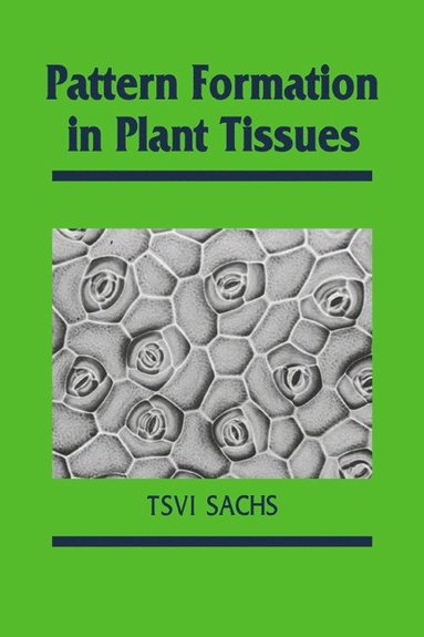 bokomslag Pattern Formation in Plant Tissues