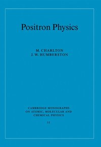 bokomslag Positron Physics