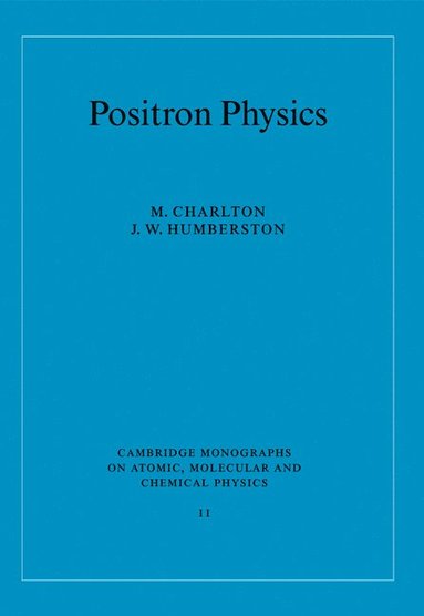 bokomslag Positron Physics