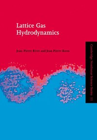 bokomslag Lattice Gas Hydrodynamics