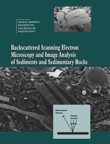 bokomslag Backscattered Scanning Electron Microscopy and Image Analysis of Sediments and Sedimentary Rocks