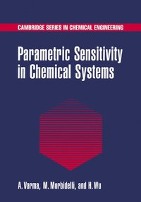 bokomslag Parametric Sensitivity in Chemical Systems