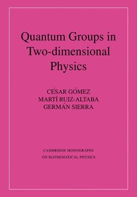 bokomslag Quantum Groups in Two-Dimensional Physics