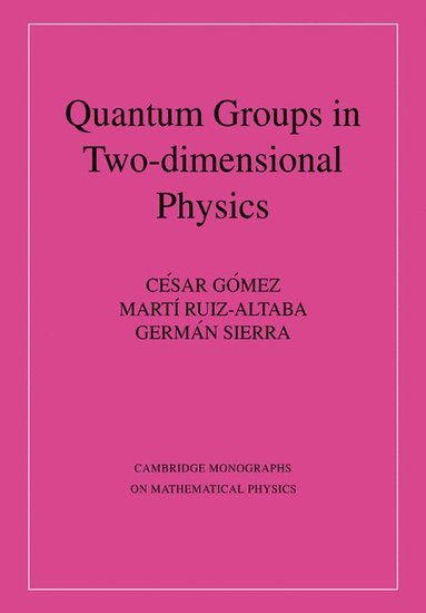 bokomslag Quantum Groups in Two-Dimensional Physics