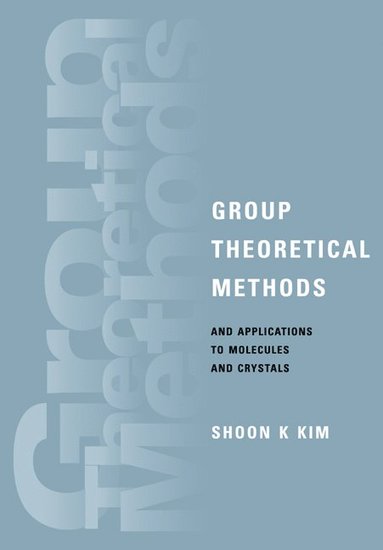 bokomslag Group Theoretical Methods and Applications to Molecules and Crystals