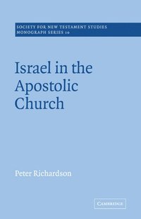 bokomslag Israel in the Apostolic Church