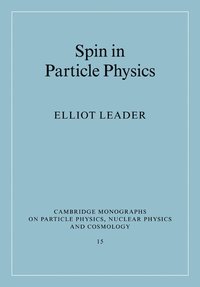 bokomslag Spin in Particle Physics