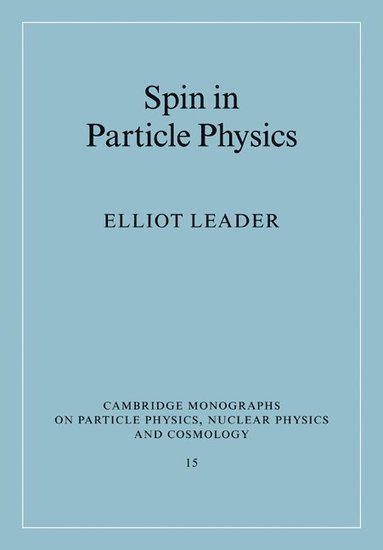 bokomslag Spin in Particle Physics