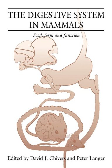 bokomslag The Digestive System in Mammals