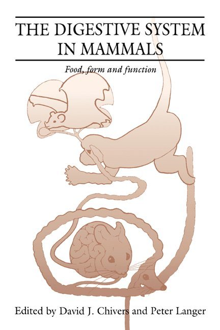 The Digestive System in Mammals 1