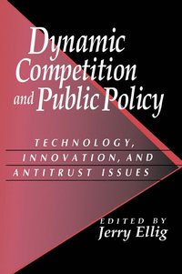 bokomslag Dynamic Competition and Public Policy