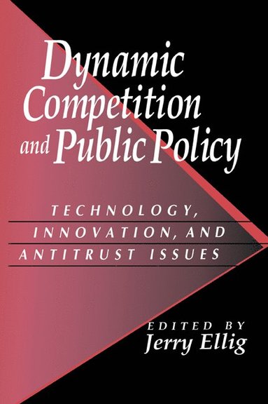 bokomslag Dynamic Competition and Public Policy