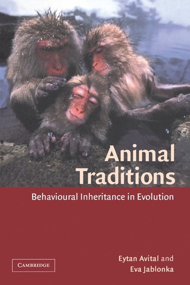 bokomslag Animal Traditions