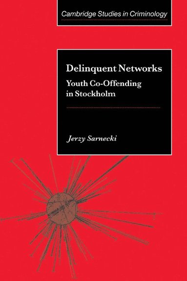 bokomslag Delinquent Networks
