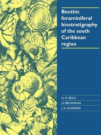 bokomslag Benthic Foraminiferal Biostratigraphy of the South Caribbean Region