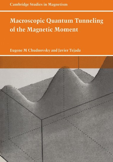 bokomslag Macroscopic Quantum Tunneling of the Magnetic Moment