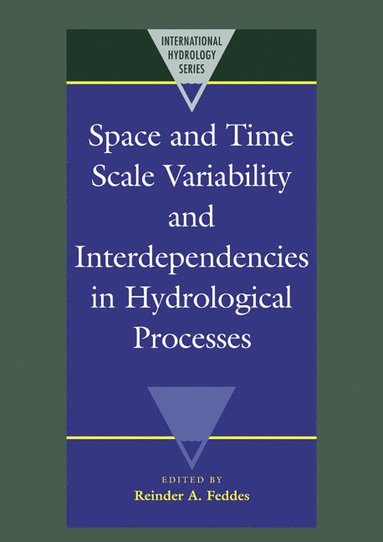 bokomslag Space and Time Scale Variability and Interdependencies in Hydrological Processes