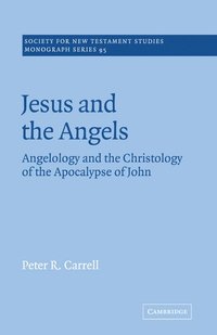 bokomslag Jesus and the Angels