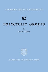 bokomslag Polycyclic Groups