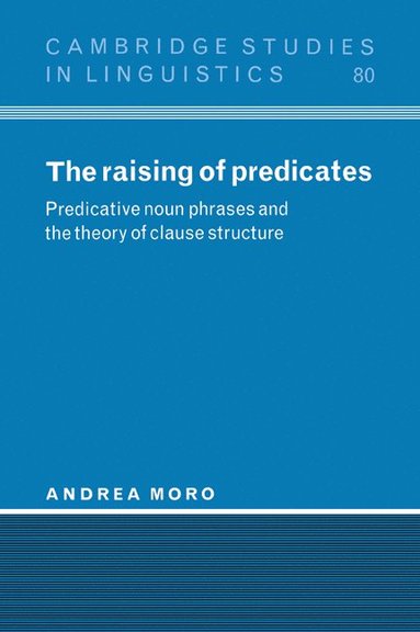 bokomslag Raising of Predicates