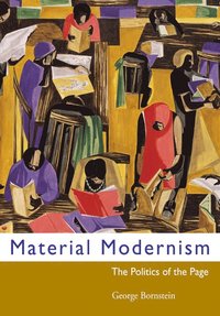 bokomslag Material Modernism