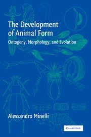 The Development of Animal Form 1