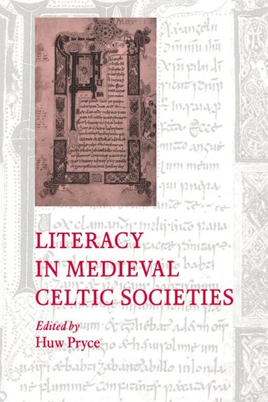 Huw Pryce - Literacy in Medieval Celtic Societies, Häftad