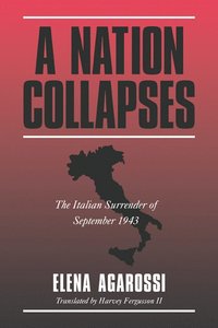 bokomslag A Nation Collapses