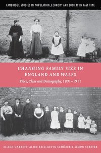 bokomslag Changing Family Size in England and Wales