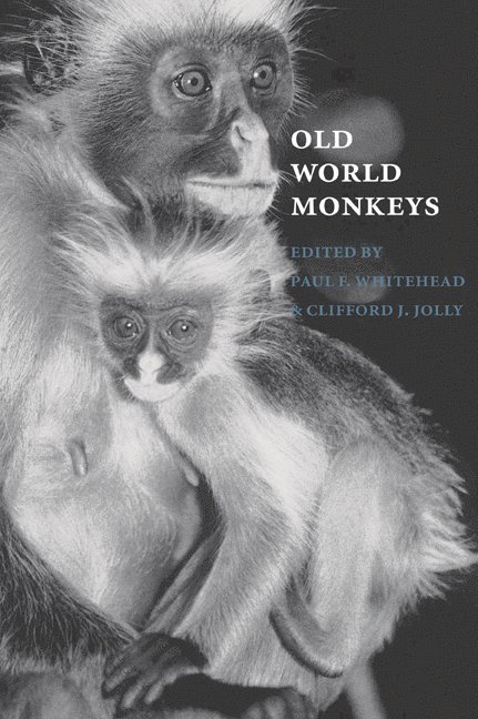 Paul F. Whitehead, Clifford J. (New York University) Jolly, Clifford J. Jolly - Old World Monkeys, Häftad