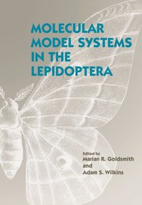 bokomslag Molecular Model Systems in the Lepidoptera