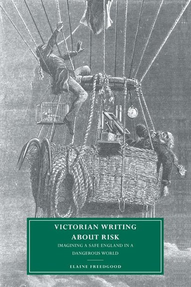 Elaine Freedgood, Gillian Beer - Victorian Writing about Risk, Häftad