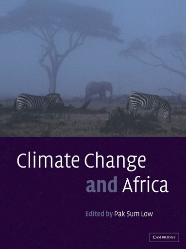 bokomslag Climate Change and Africa