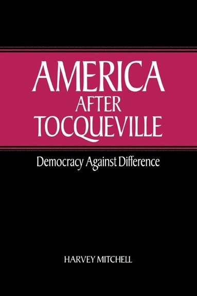 bokomslag America after Tocqueville