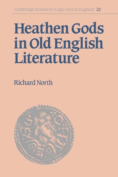 bokomslag Heathen Gods in Old English Literature