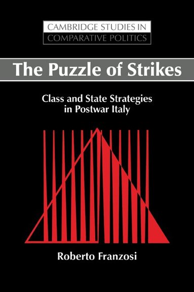 Roberto Franzosi - The Puzzle of Strikes, Häftad