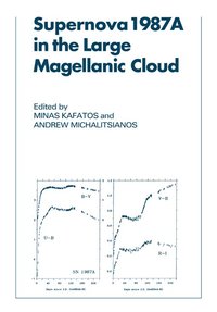 bokomslag Supernova 1987A in the Large Magellanic Cloud