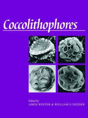 Coccolithophores 1