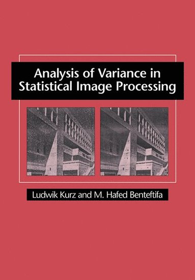 bokomslag Analysis of Variance in Statistical Image Processing